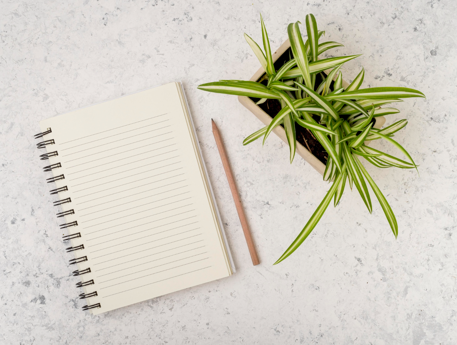 Agenda tu llamada - Reserva una llamada gratuita de 20 minutos.Revisaremos juntas tu situación y te orientaremos sobre el mejor camino para empezar a trabajar con más orden, estrategia y foco. - Sincaos Lab - 1