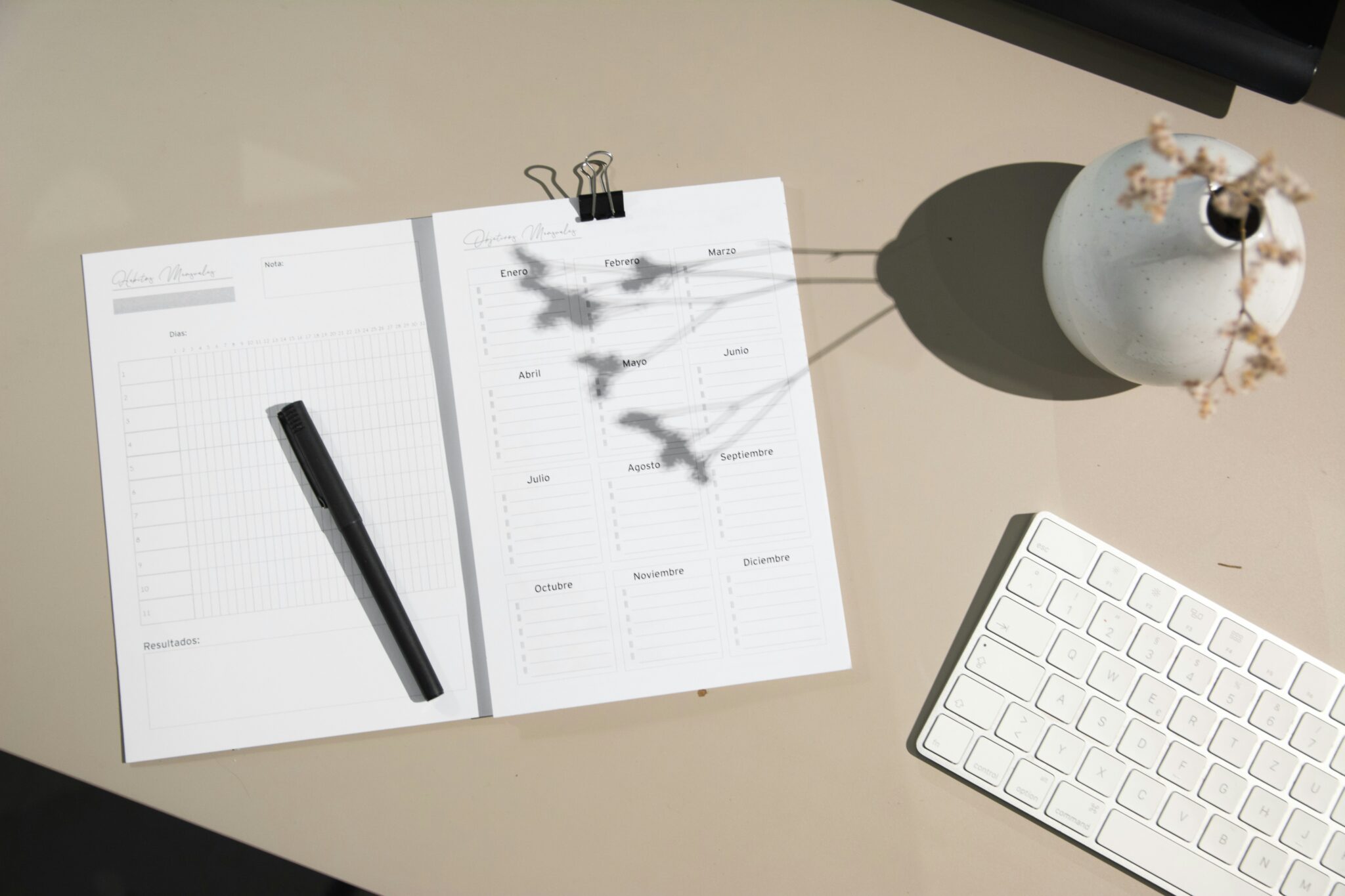 Home - En Sincaos·Lab te acompañamos a organizar procesos, personas e ideas con una mirada estratégica y realista. Para que tu equipo trabaje con autonomía, tu negocio avance con estructura y tú lideres desde la visión, no desde la urgencia. - Sincaos Lab - 1